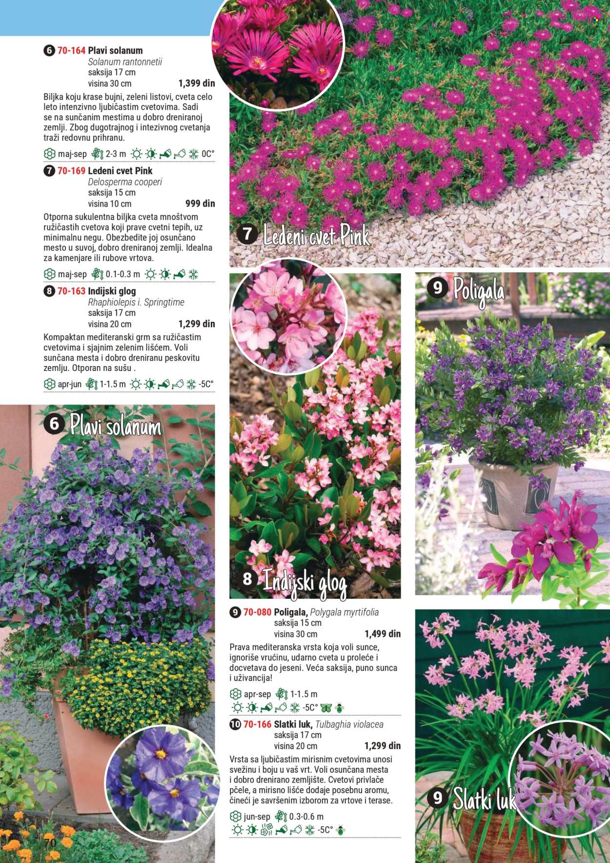 Flora Ekspres katalog .