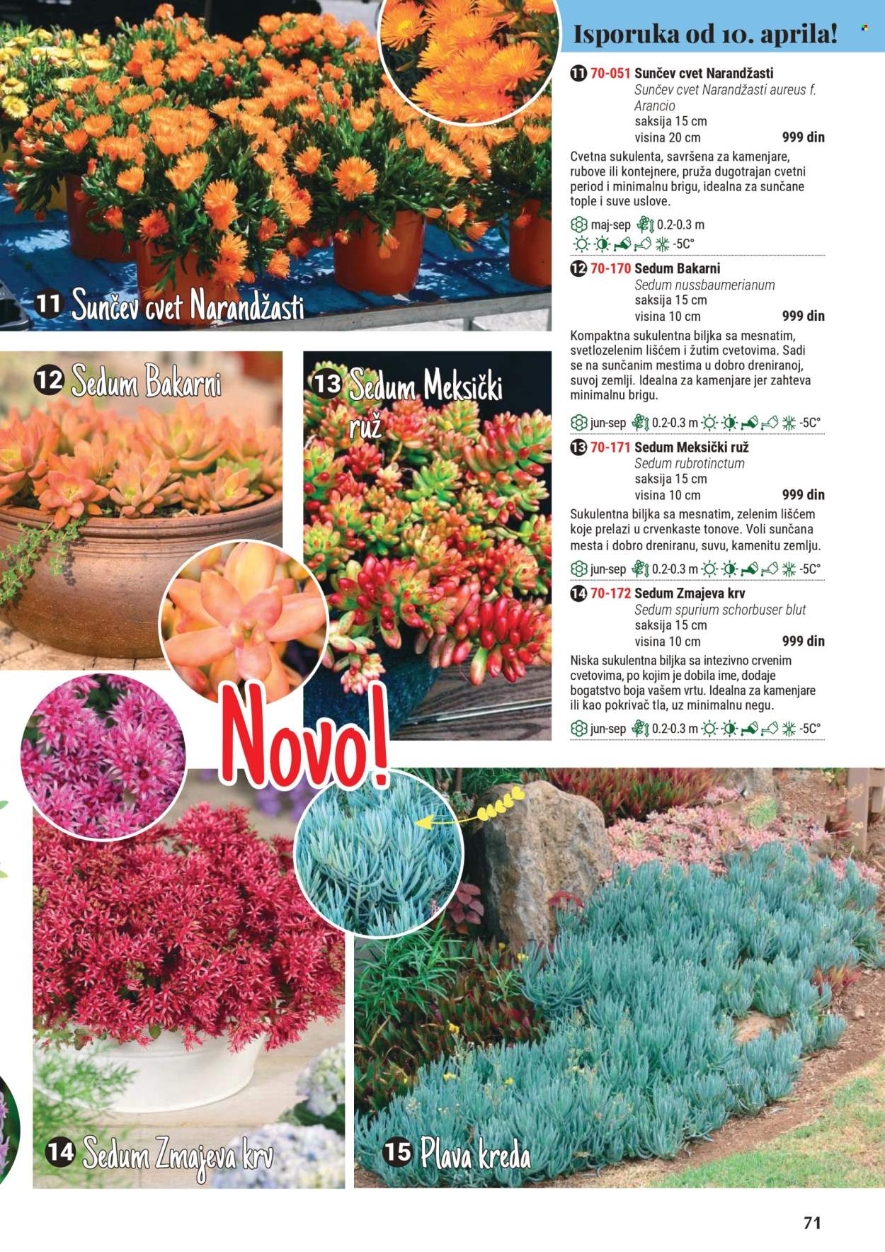 Flora Ekspres katalog .