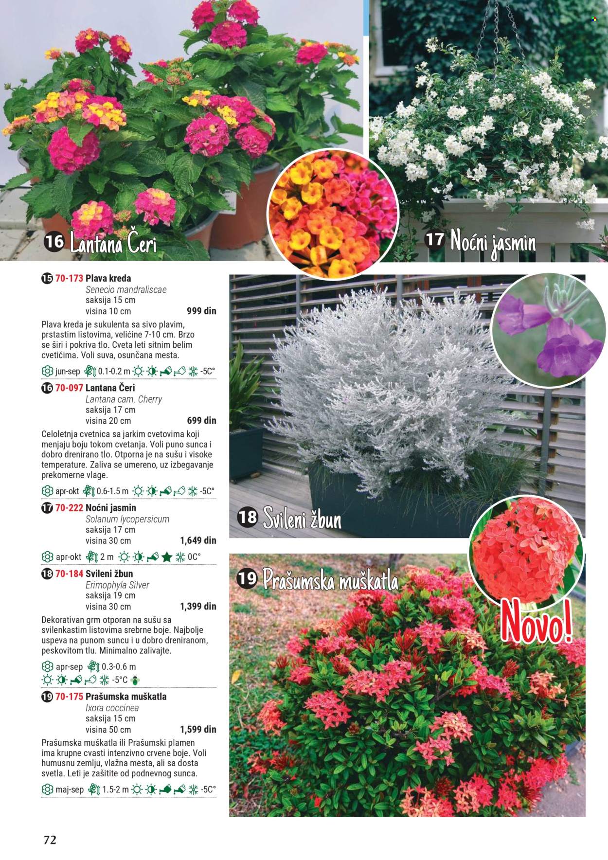 Flora Ekspres katalog .