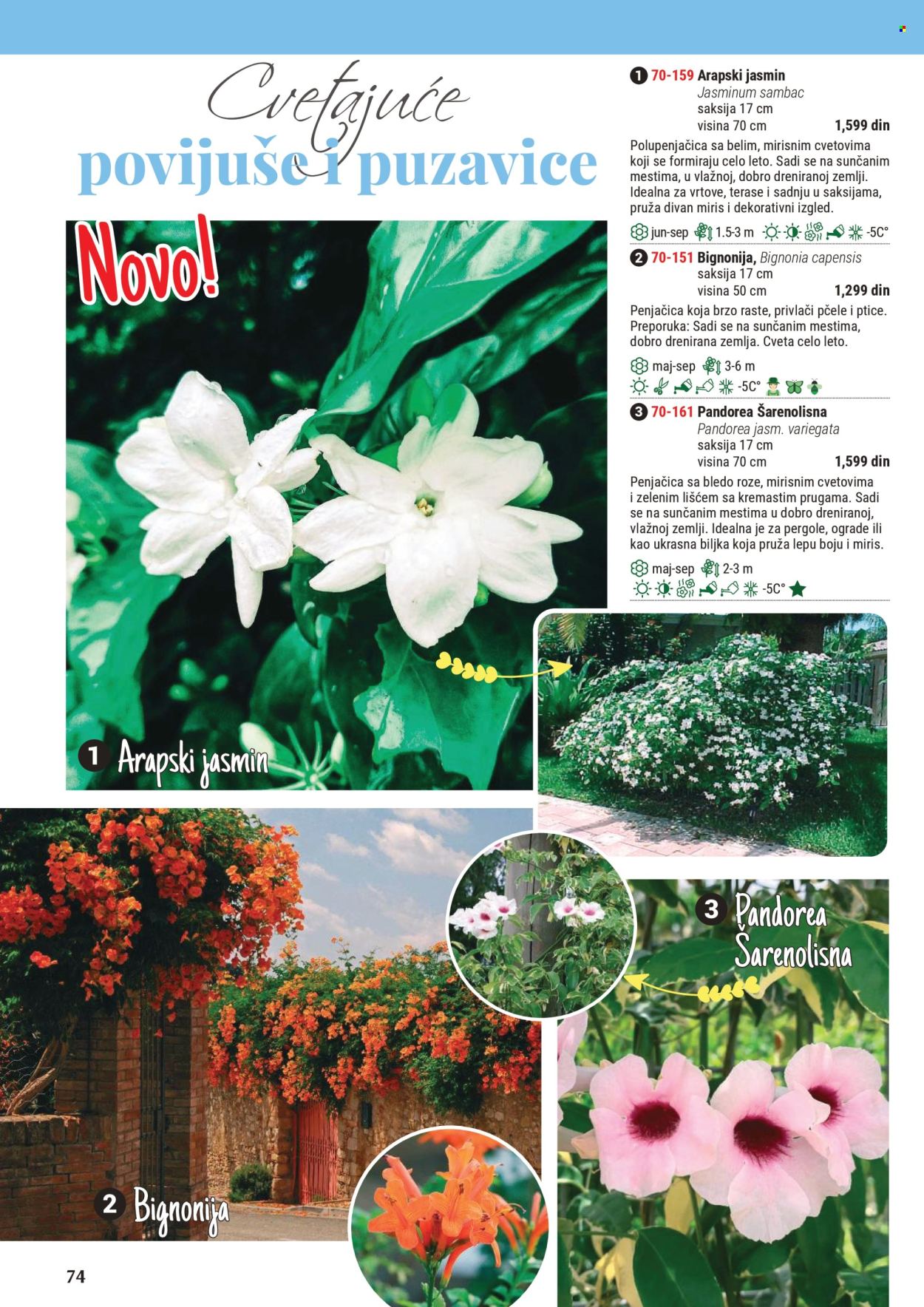 Flora Ekspres katalog .