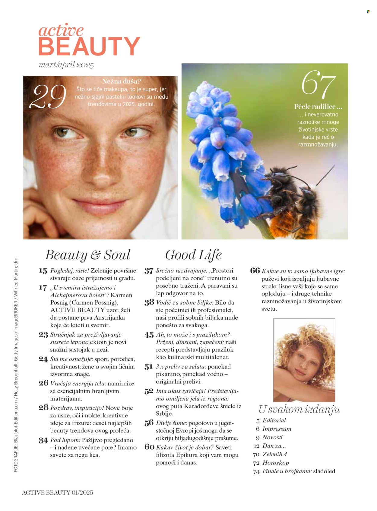 dm drogerie katalog .