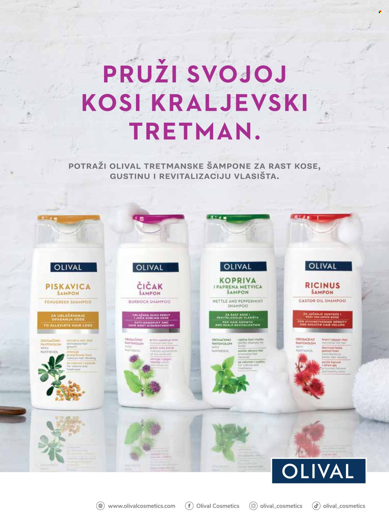 dm drogerie katalog .