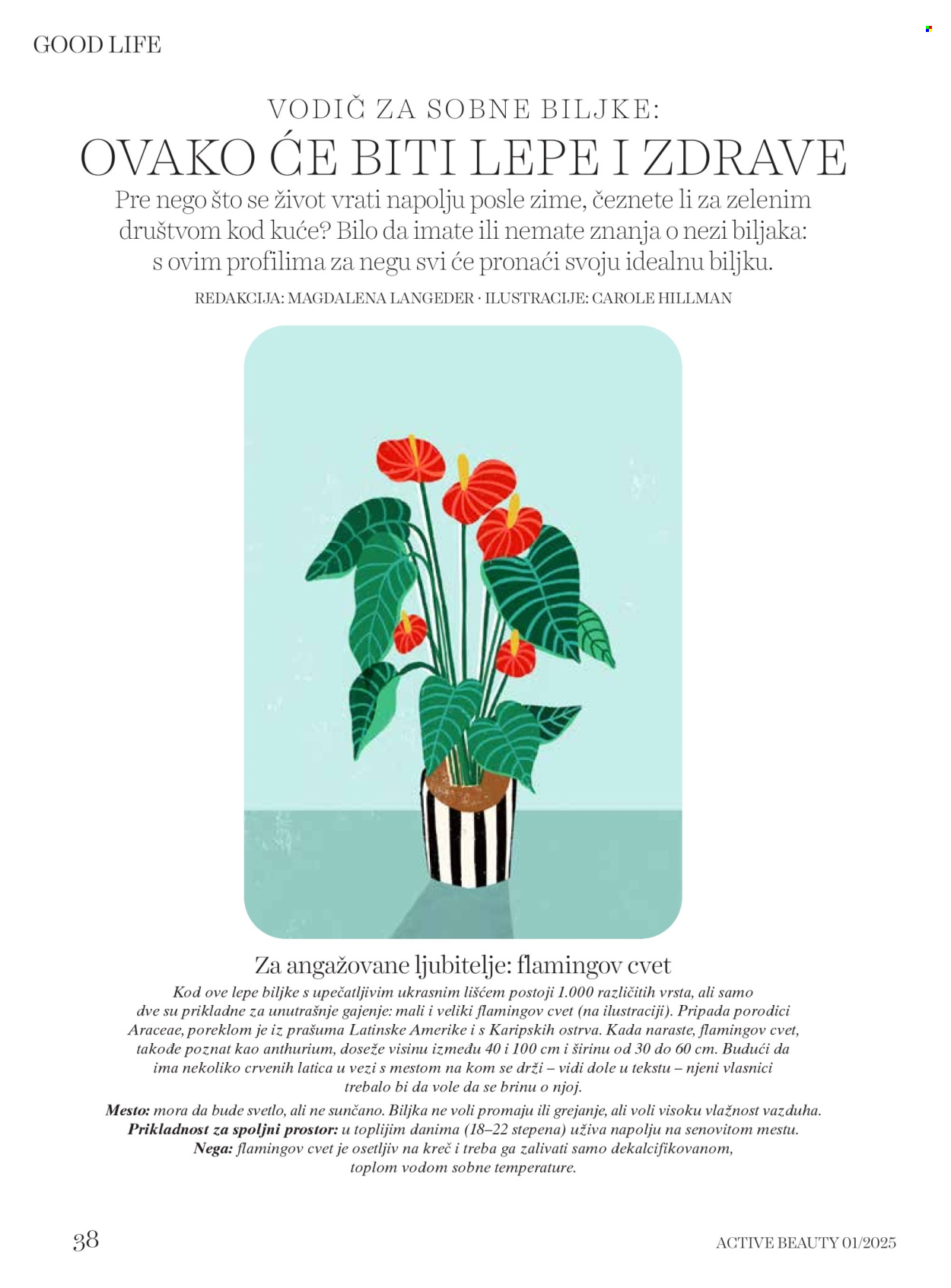 dm drogerie katalog .