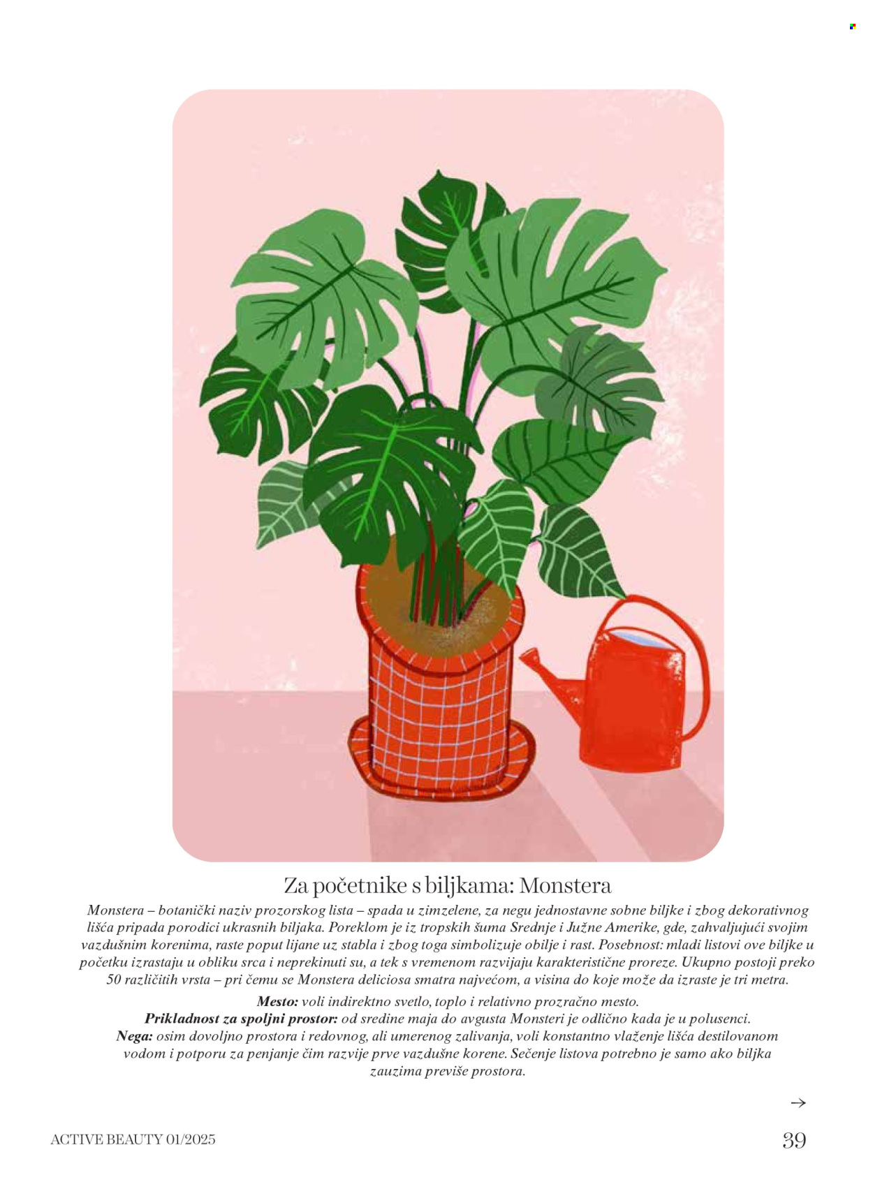 dm drogerie katalog .