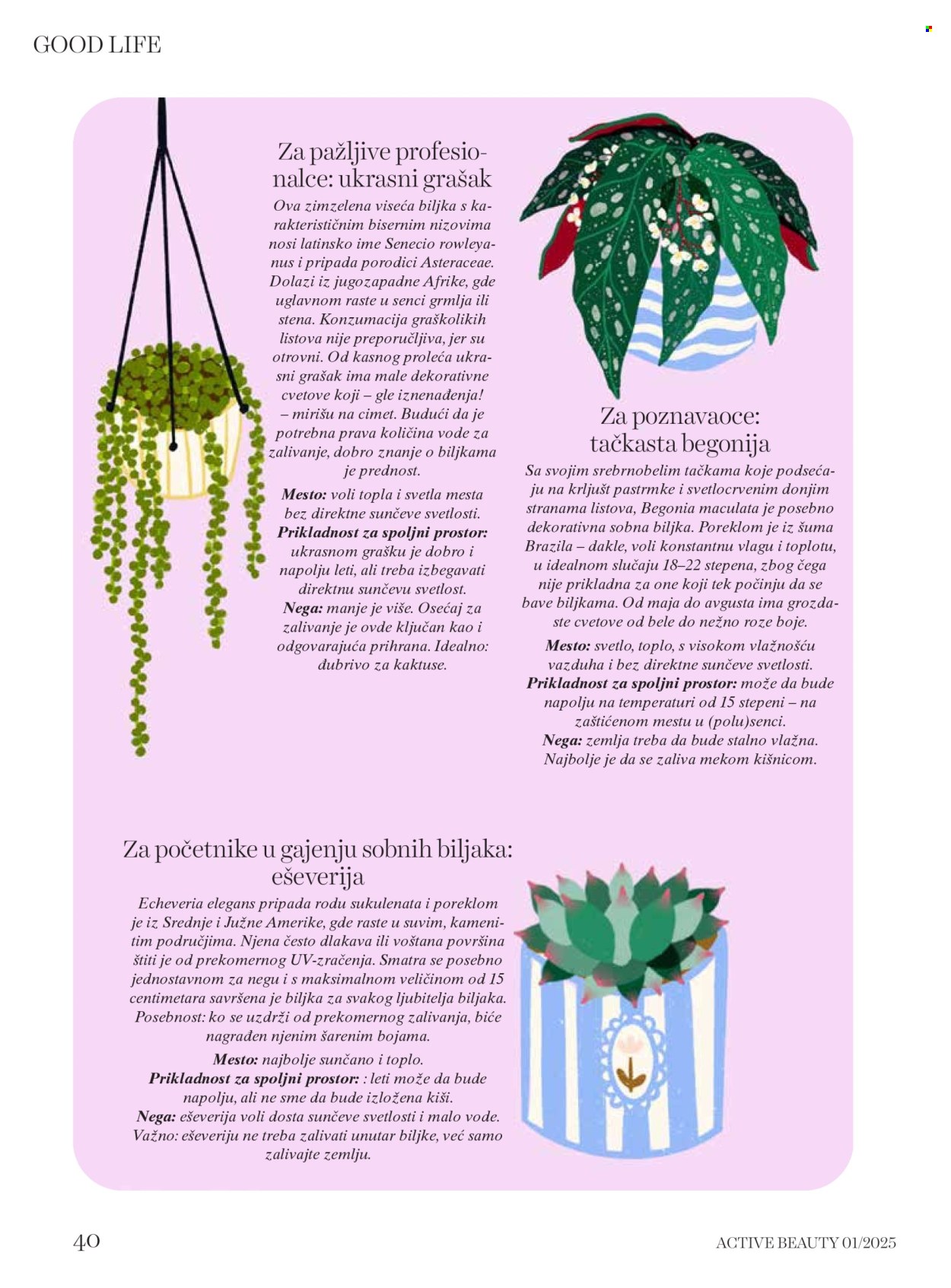 dm drogerie katalog .