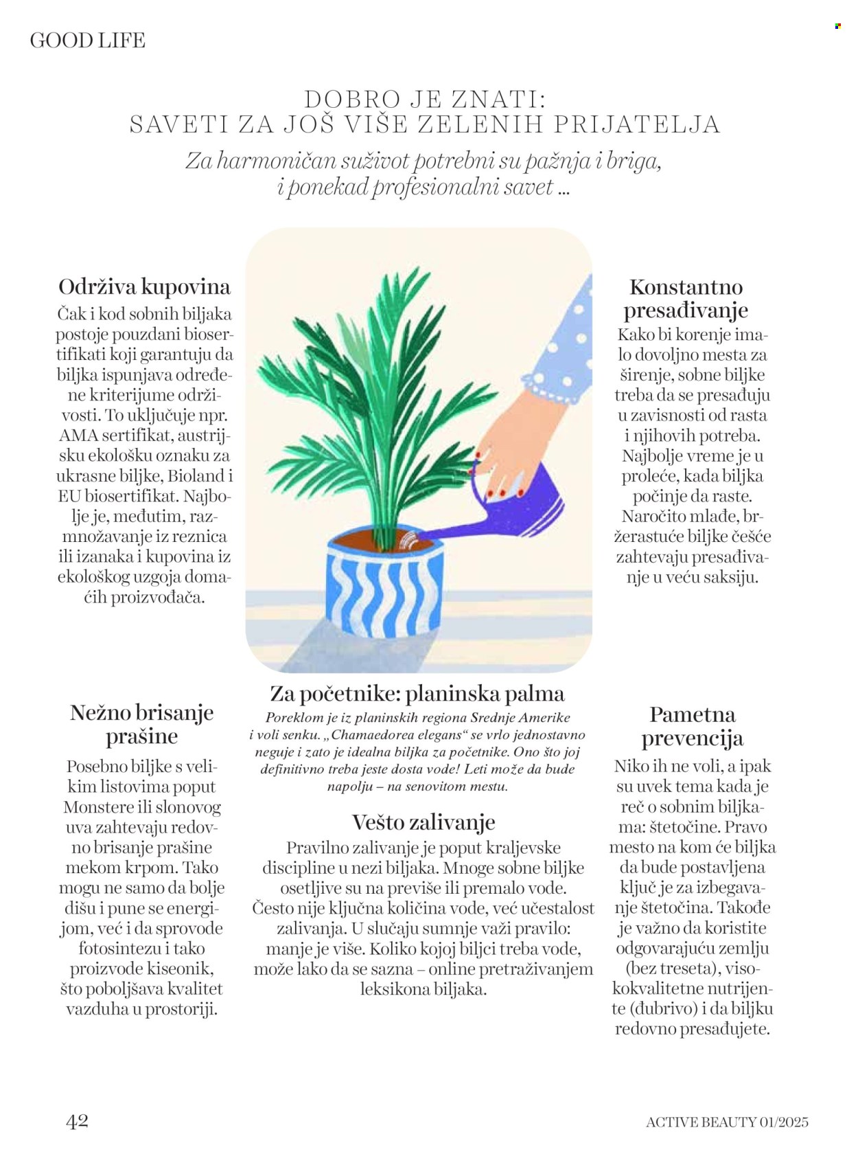 dm drogerie katalog .