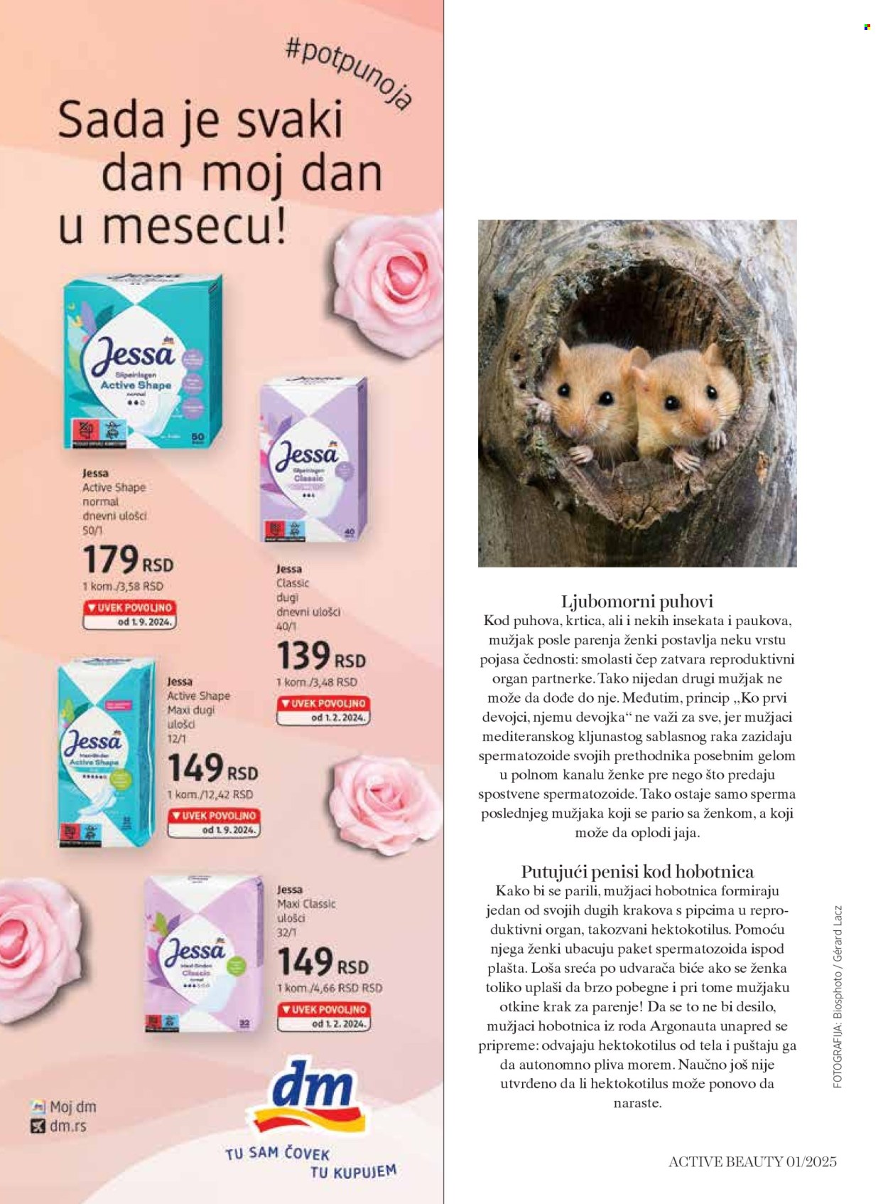 dm drogerie katalog .