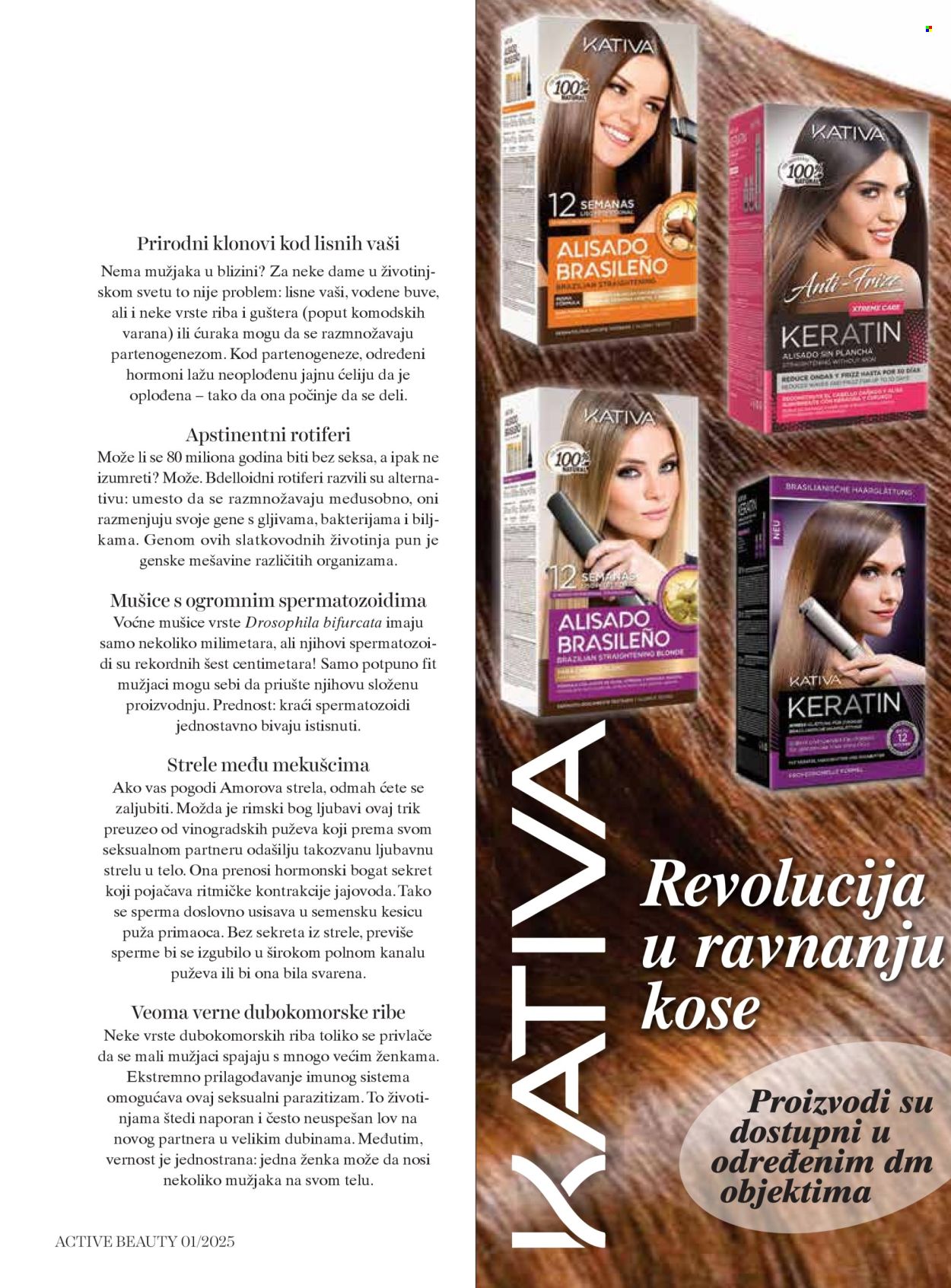 dm drogerie katalog .