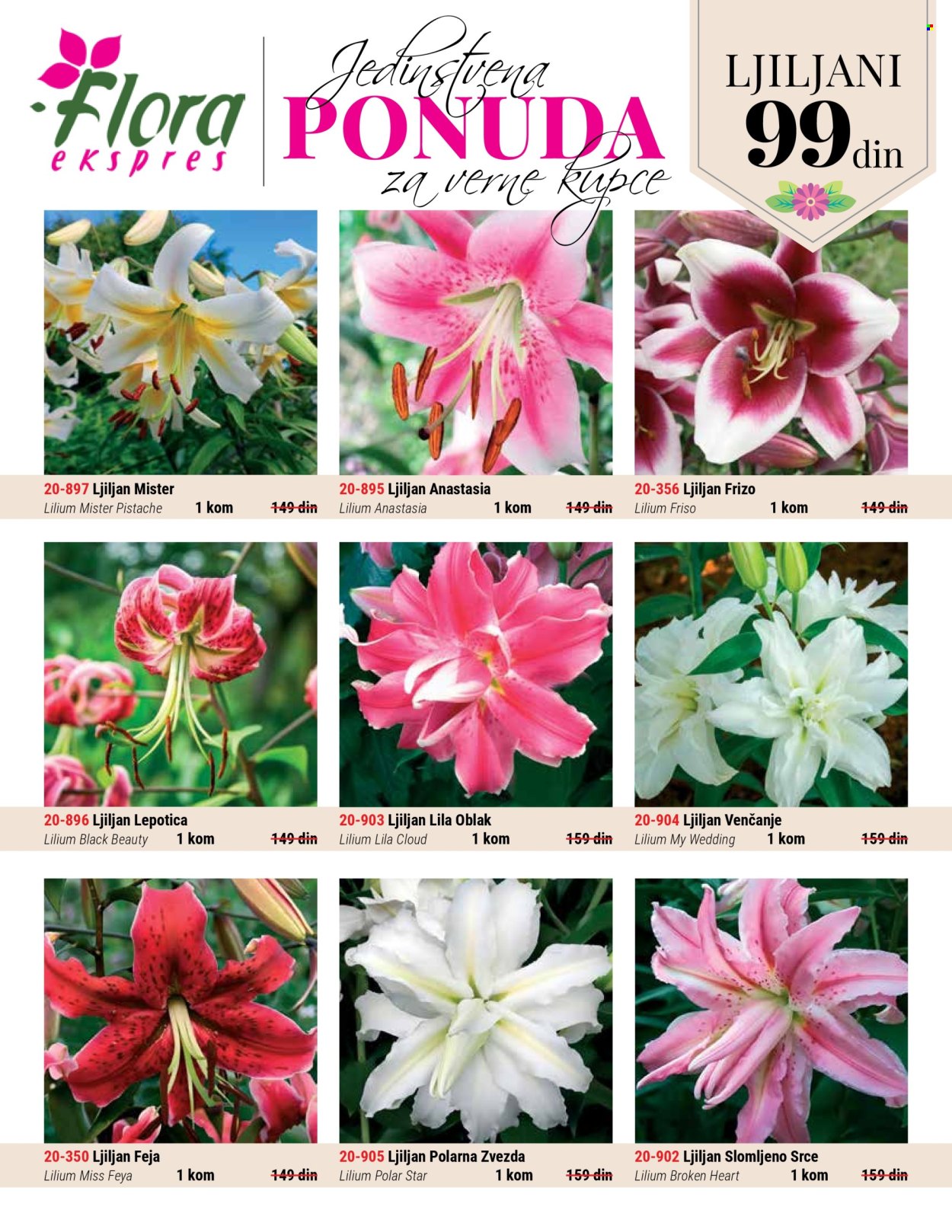 Flora Ekspres katalog .