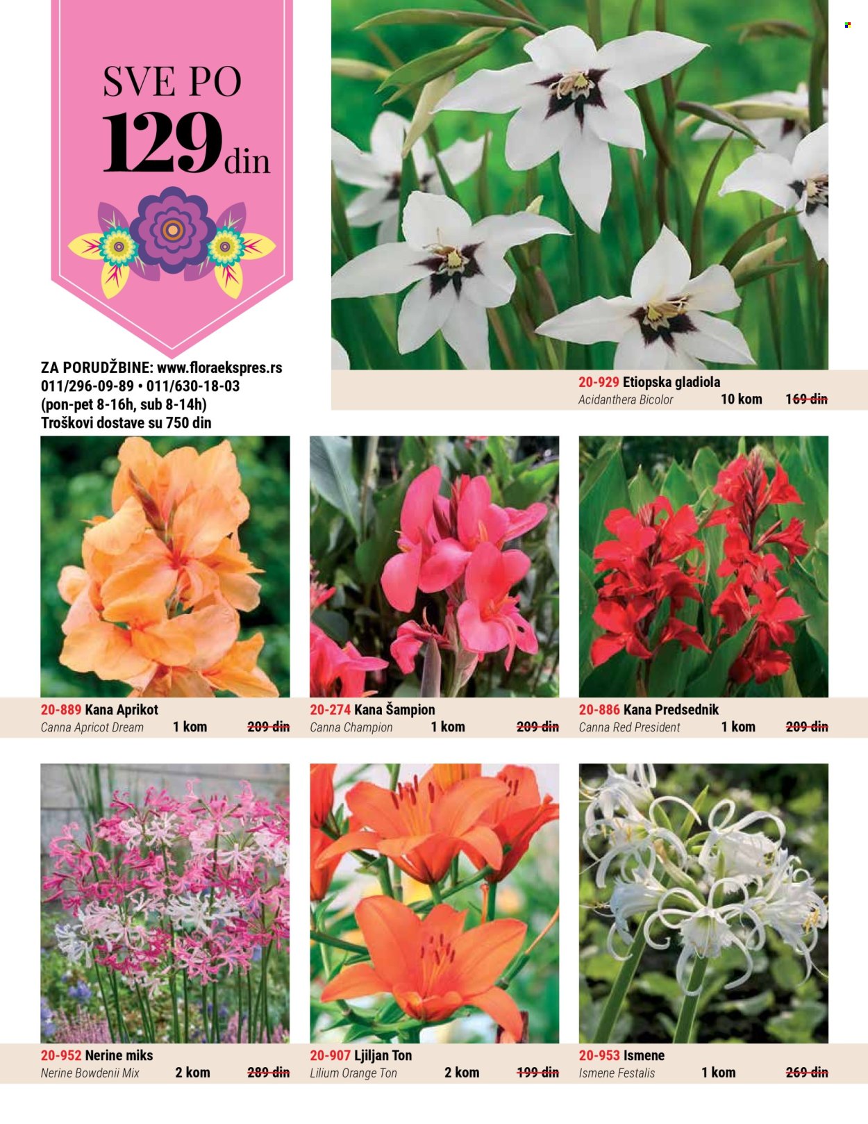 Flora Ekspres katalog .