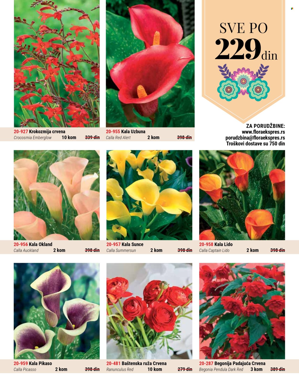Flora Ekspres katalog .