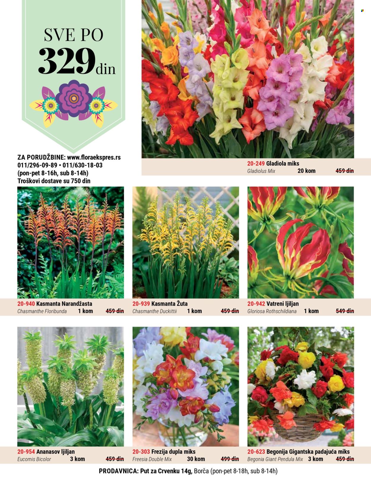 Flora Ekspres katalog .