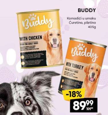 BUDDY