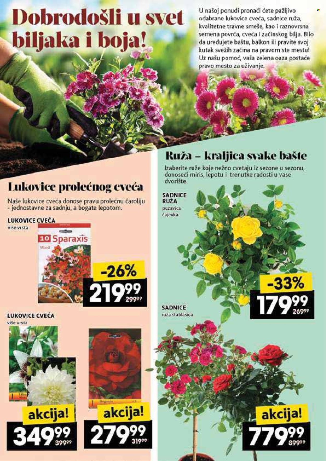 Roda katalog  - 08.05.2025 - 14.05.2025.