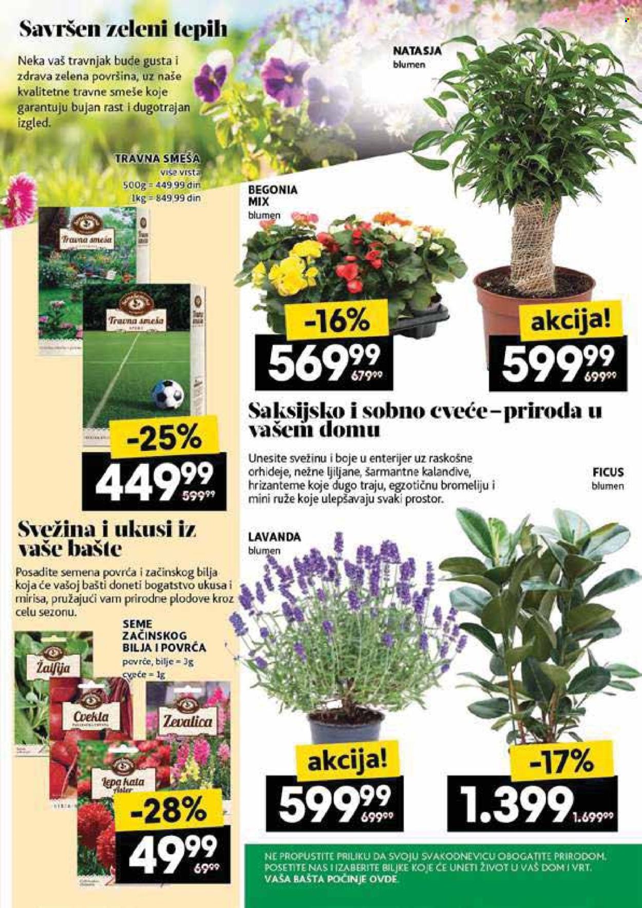 Roda katalog  - 08.05.2025 - 14.05.2025.