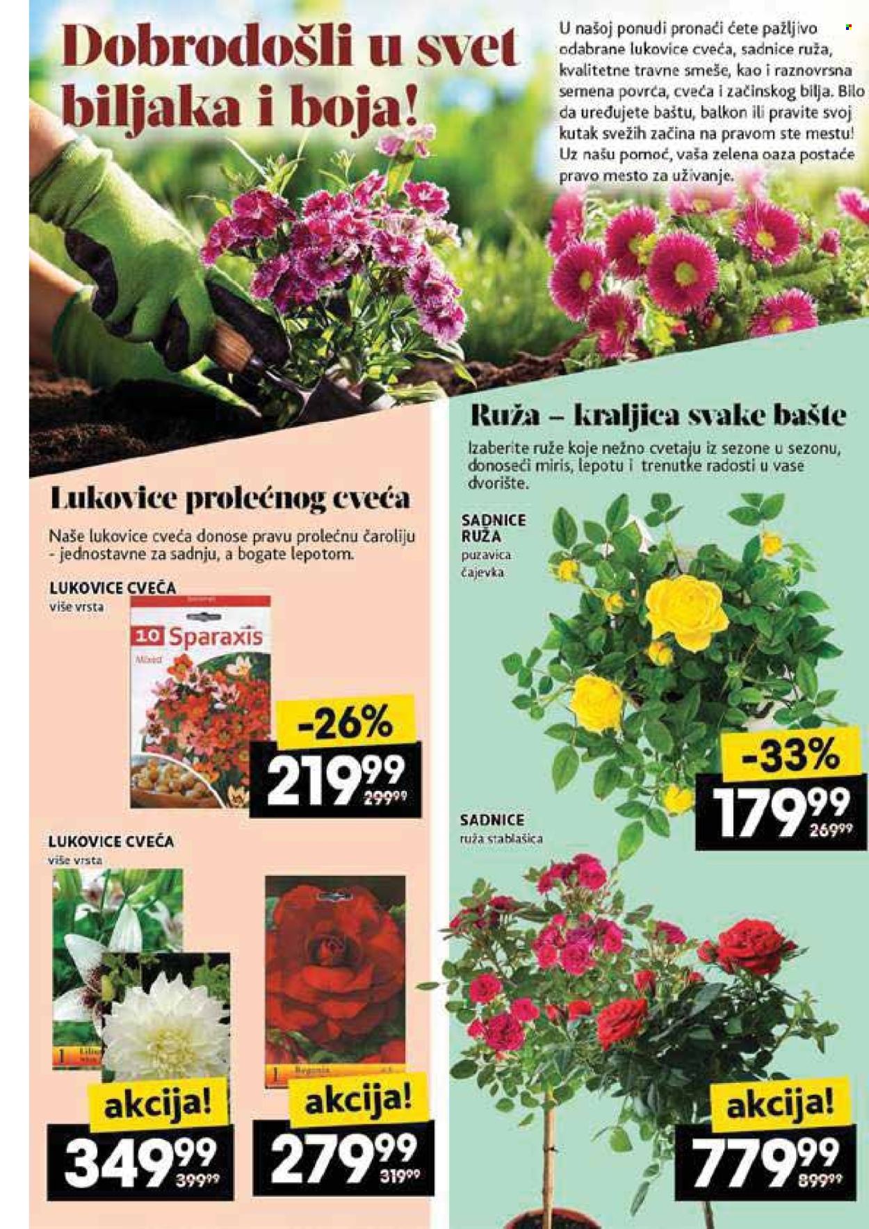 Idea katalog  - 08.05.2025 - 14.05.2025.