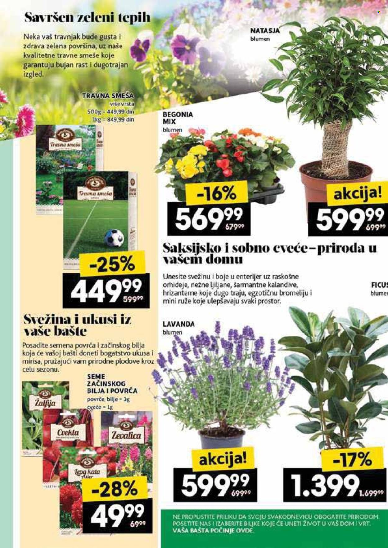 Idea katalog  - 08.05.2025 - 14.05.2025.