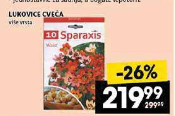 Lukovice cveća