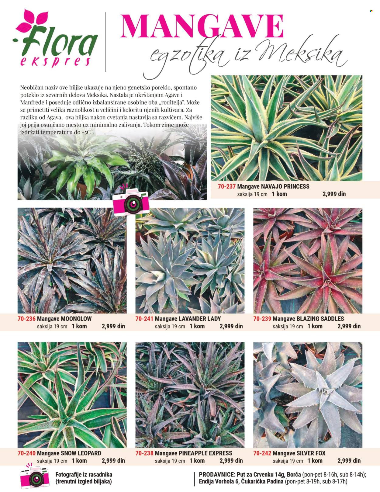 Flora Ekspres katalog . Stranica 1