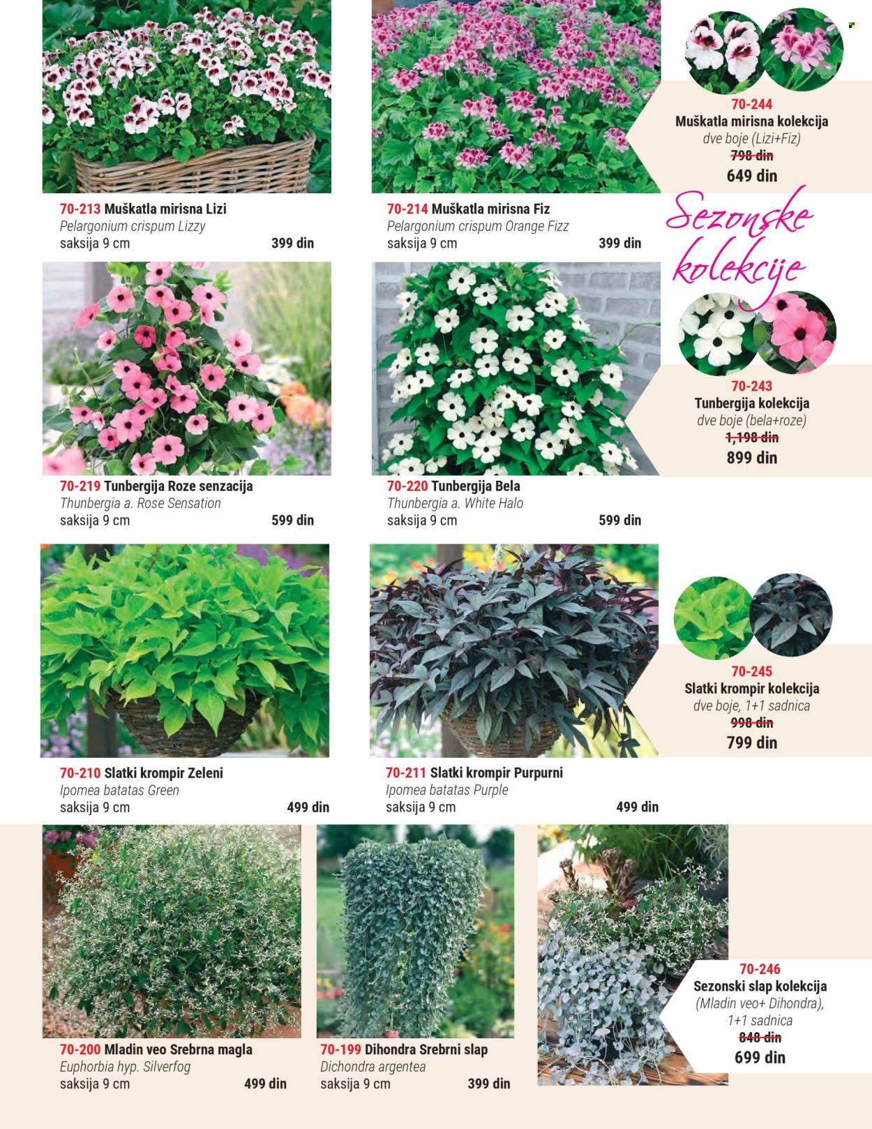 Flora Ekspres katalog . Stranica 3