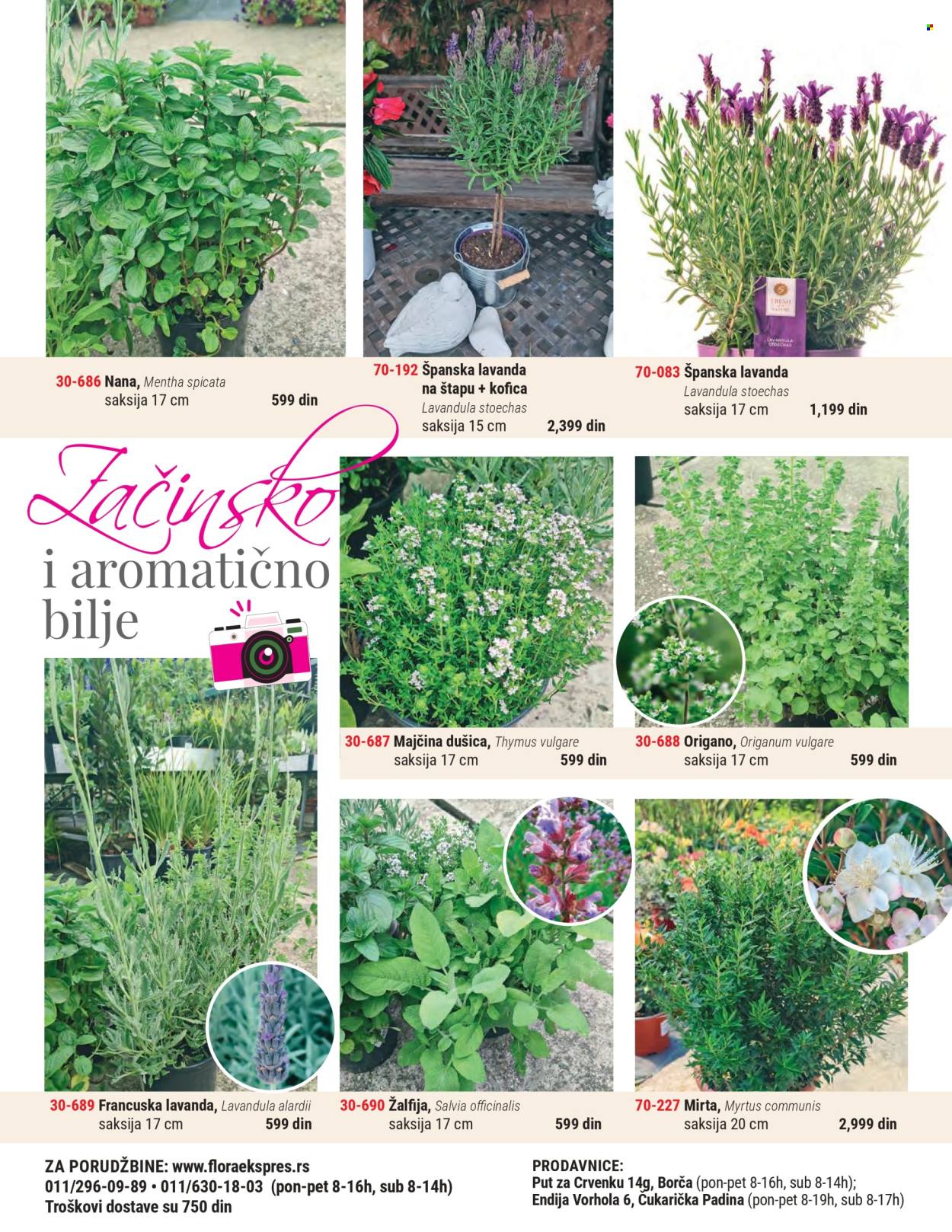 Flora Ekspres katalog . Stranica 4