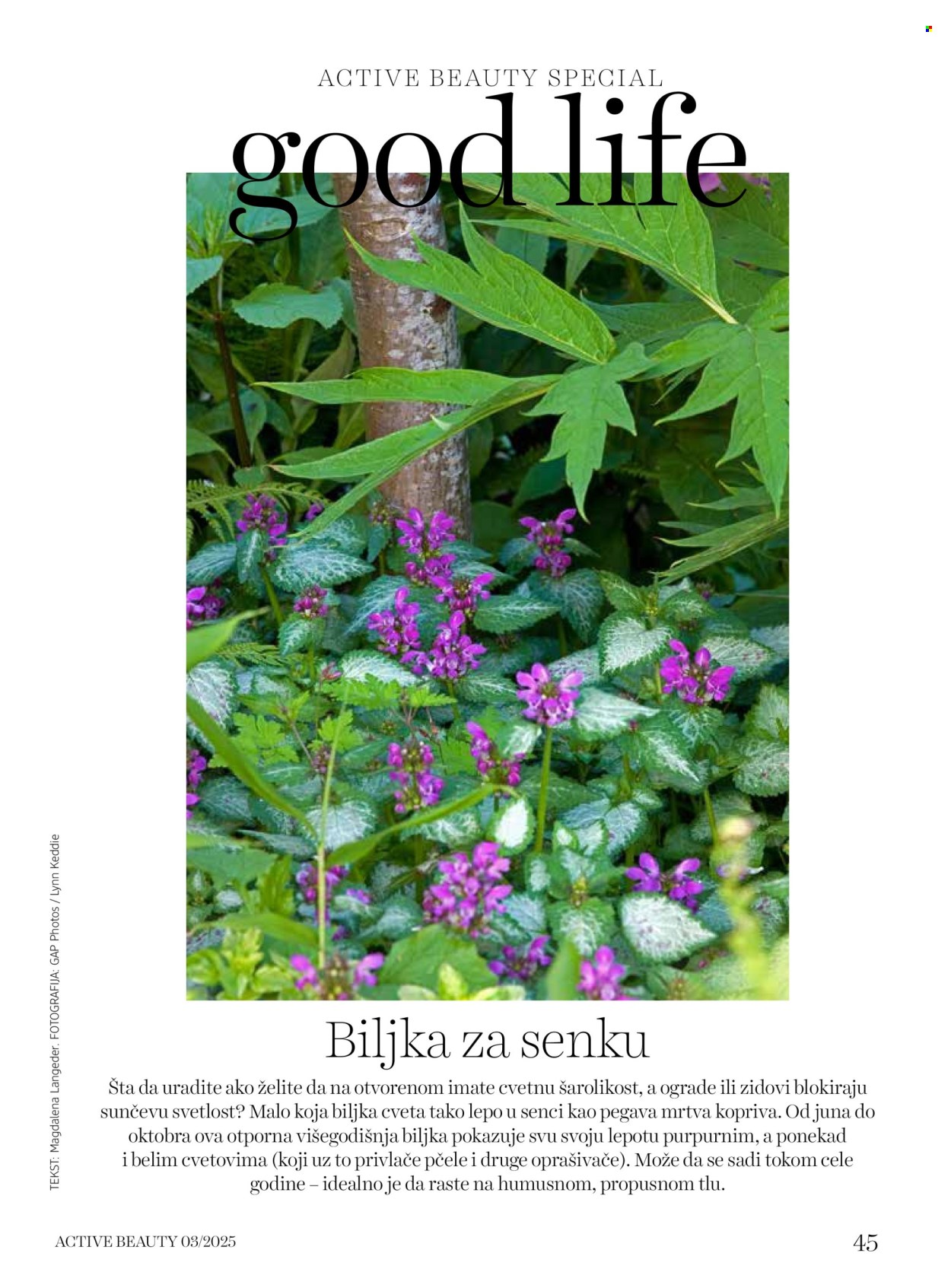 dm drogerie katalog . Stranica 45
