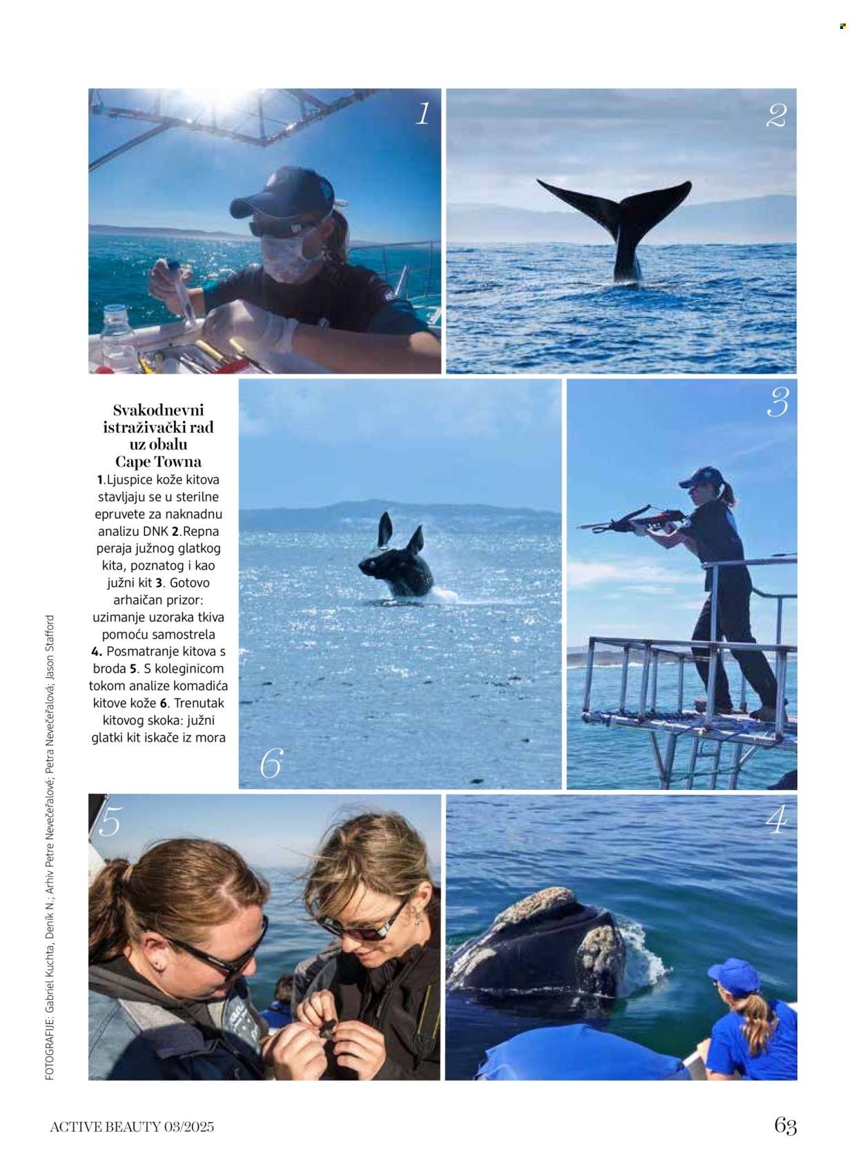 dm drogerie katalog . Stranica 63