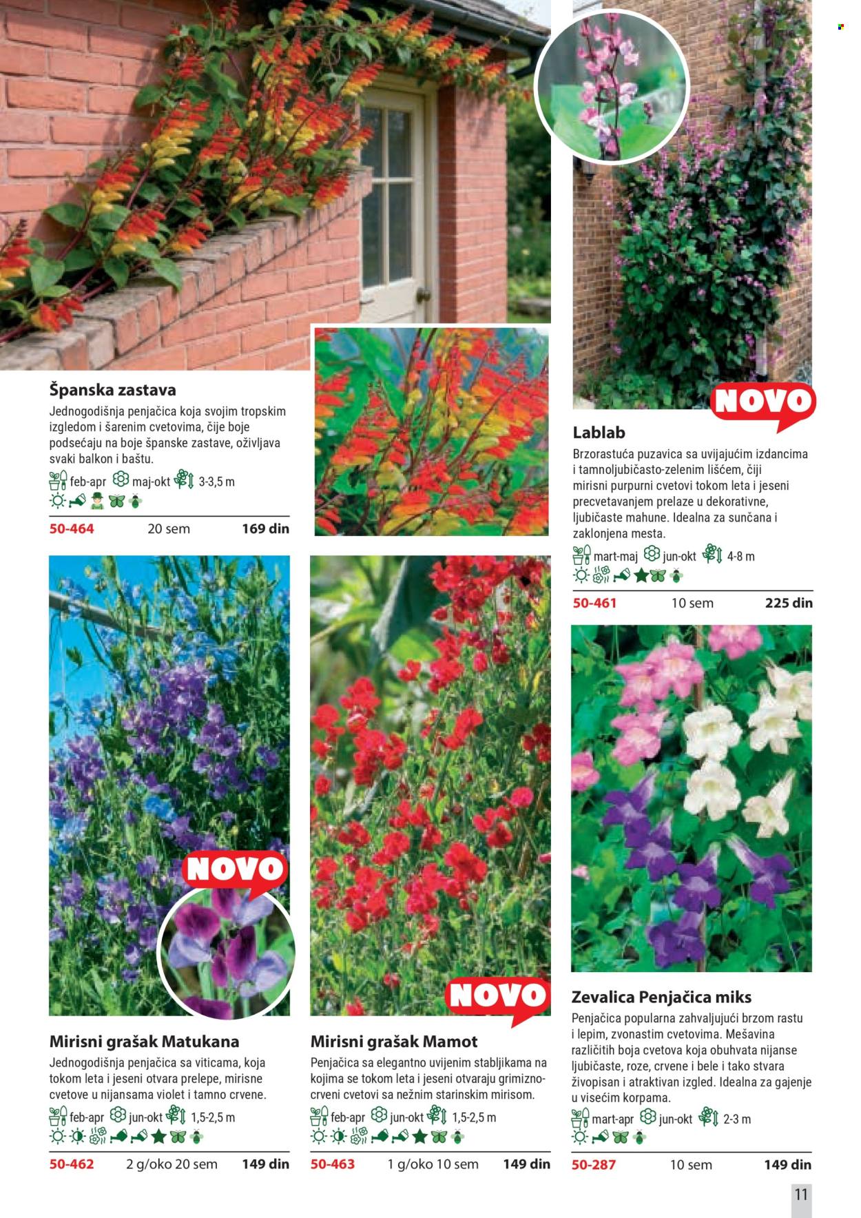 Flora Ekspres katalog . Stranica 11