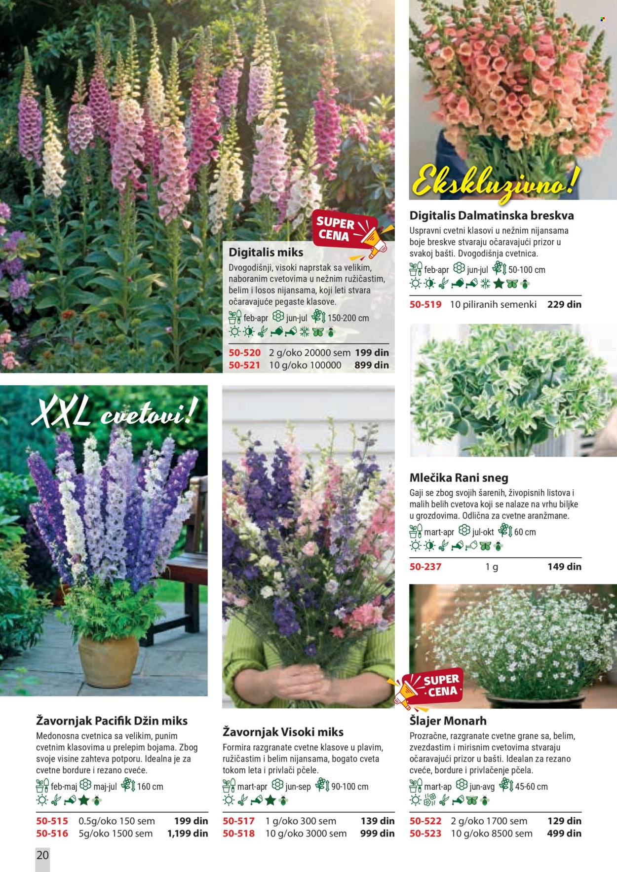 Flora Ekspres katalog . Stranica 20
