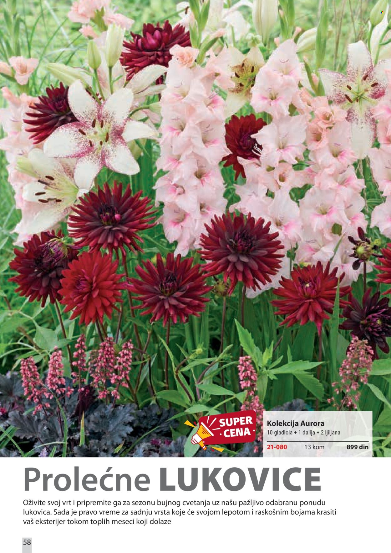 Flora Ekspres katalog . Stranica 58