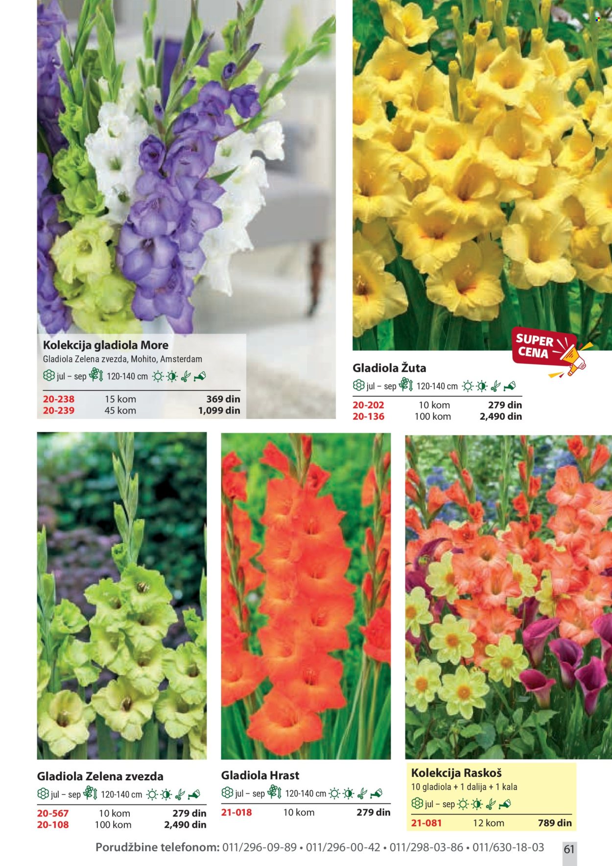 Flora Ekspres katalog . Stranica 61