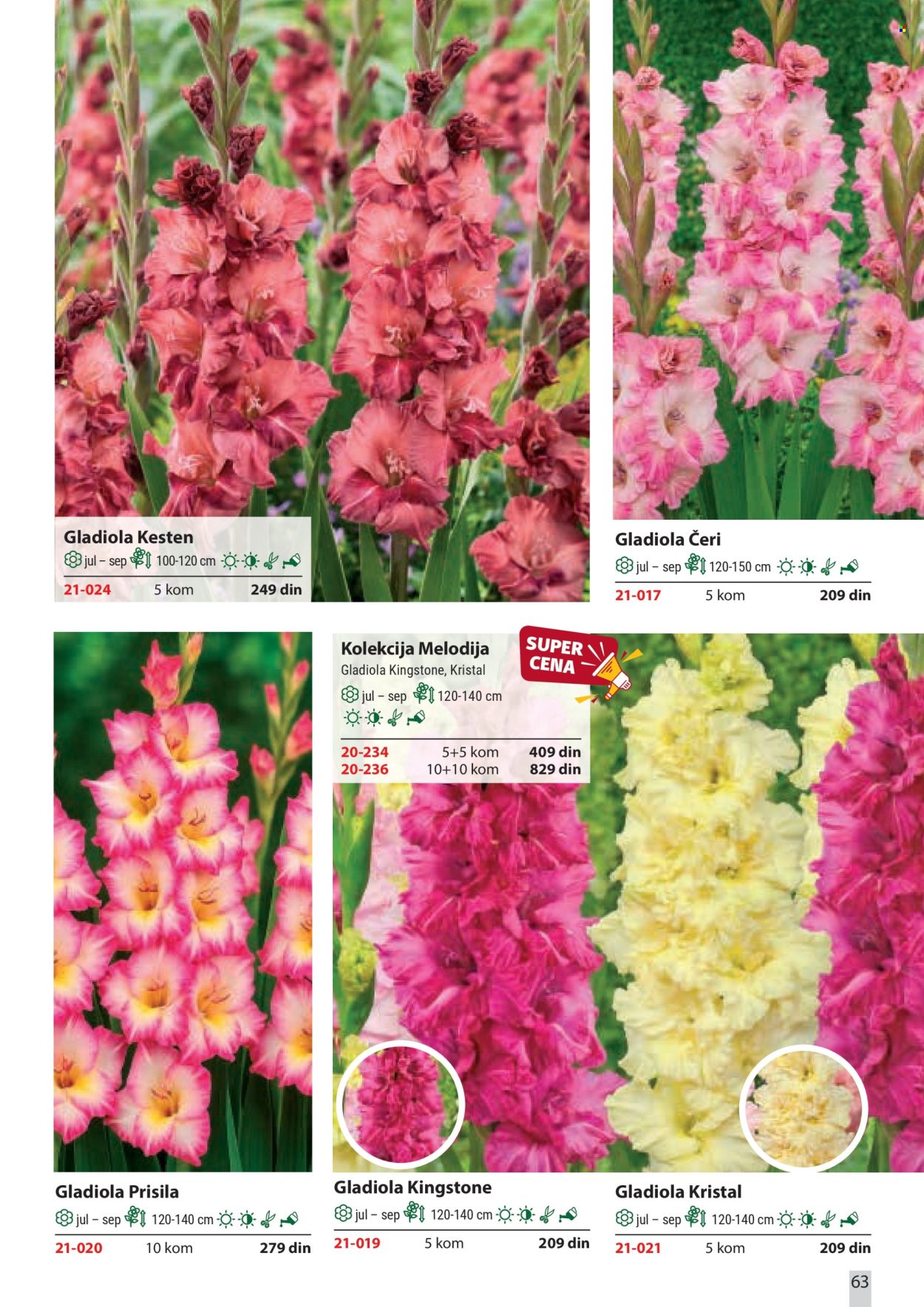 Flora Ekspres katalog . Stranica 63