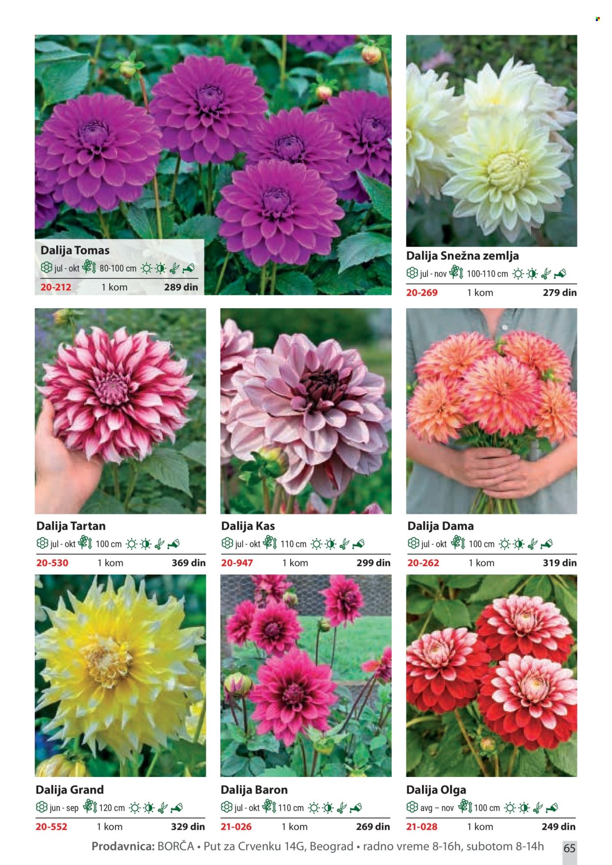 Flora Ekspres katalog . Stranica 65