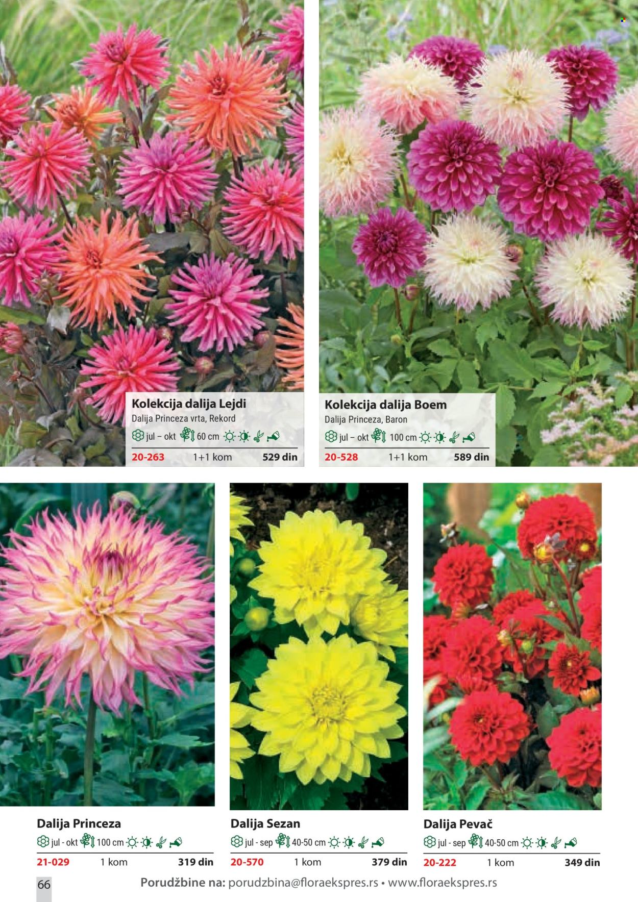 Flora Ekspres katalog . Stranica 66