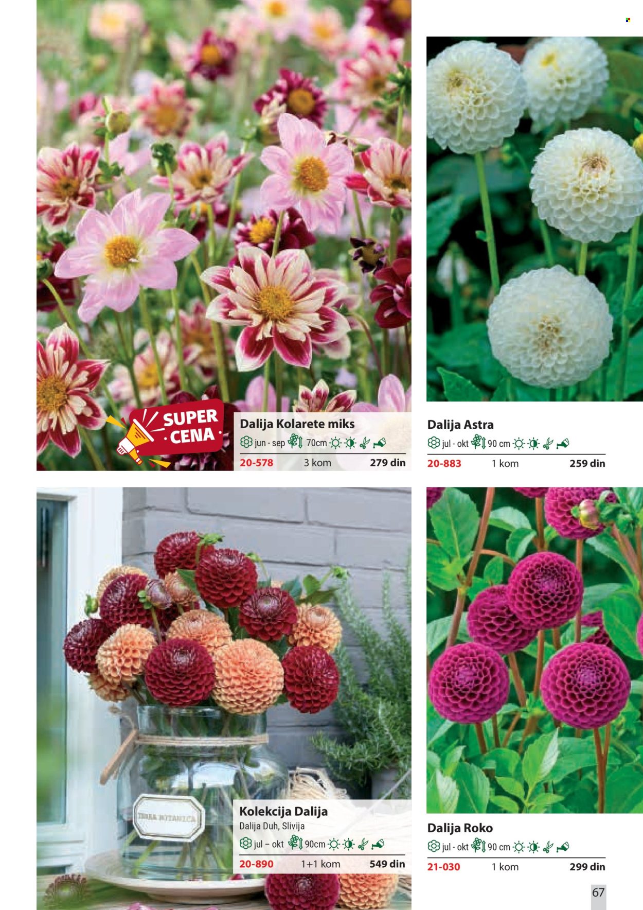 Flora Ekspres katalog . Stranica 67