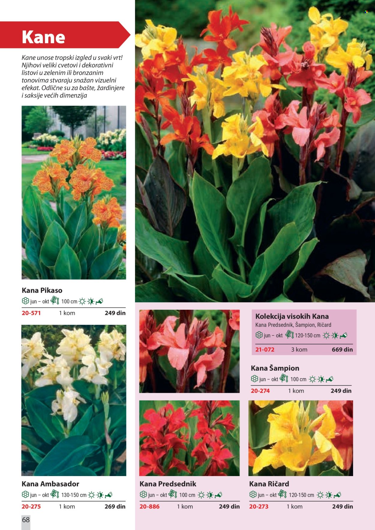 Flora Ekspres katalog . Stranica 68