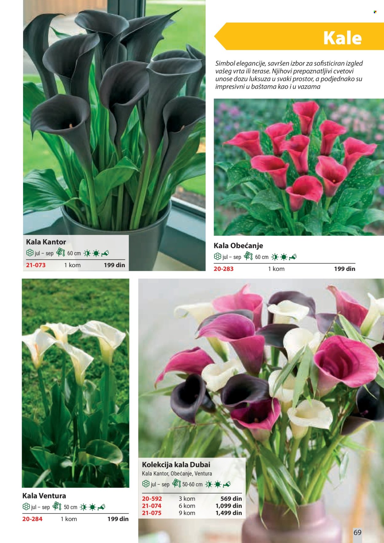 Flora Ekspres katalog . Stranica 69