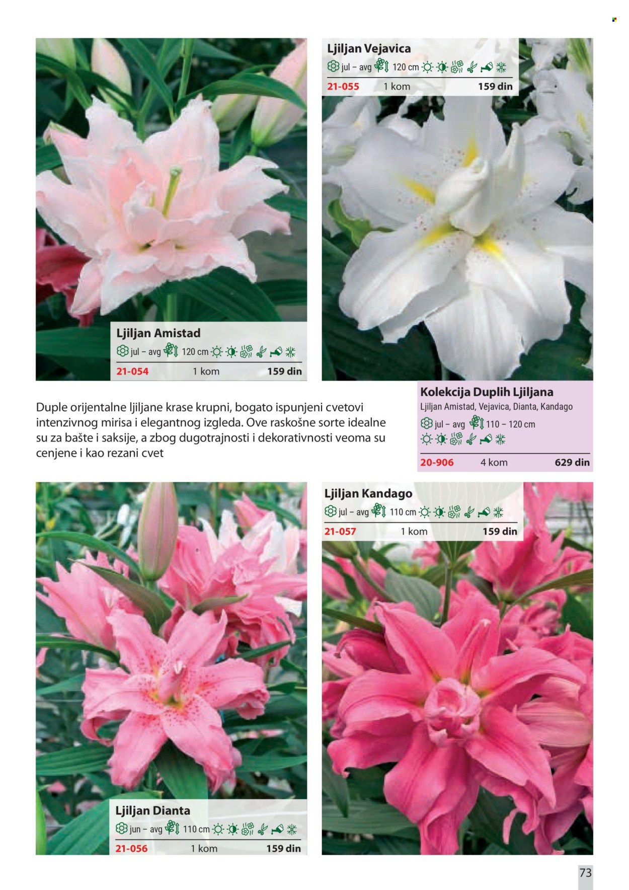 Flora Ekspres katalog . Stranica 73
