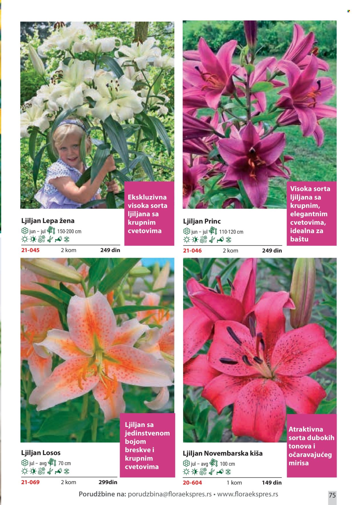 Flora Ekspres katalog . Stranica 75