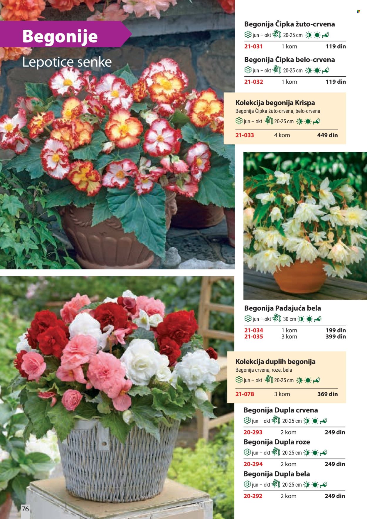 Flora Ekspres katalog . Stranica 76