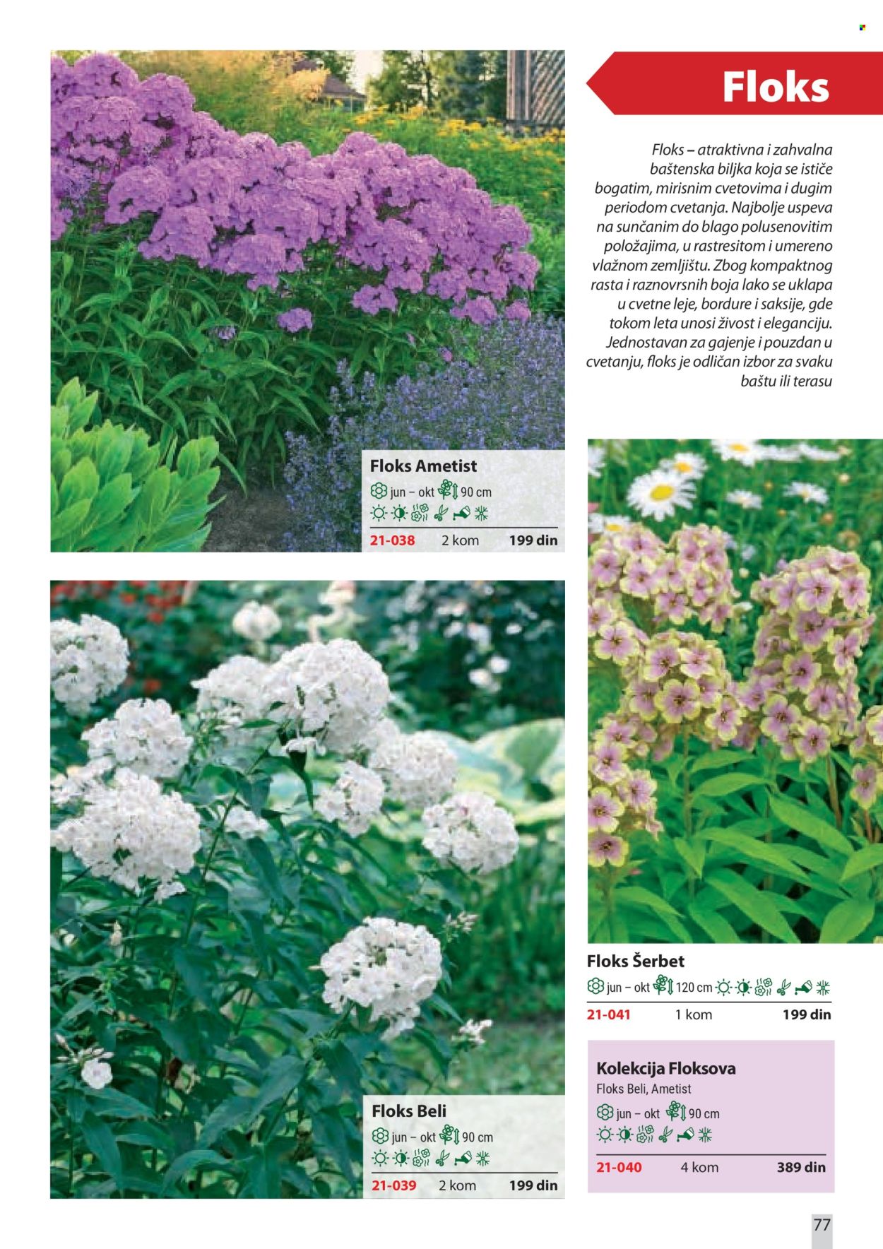 Flora Ekspres katalog . Stranica 77