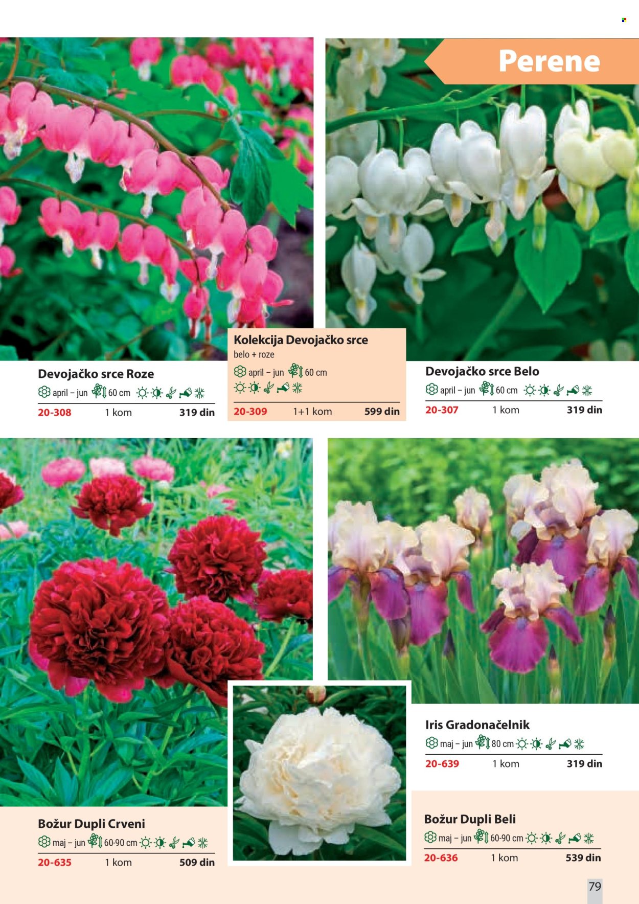 Flora Ekspres katalog . Stranica 79