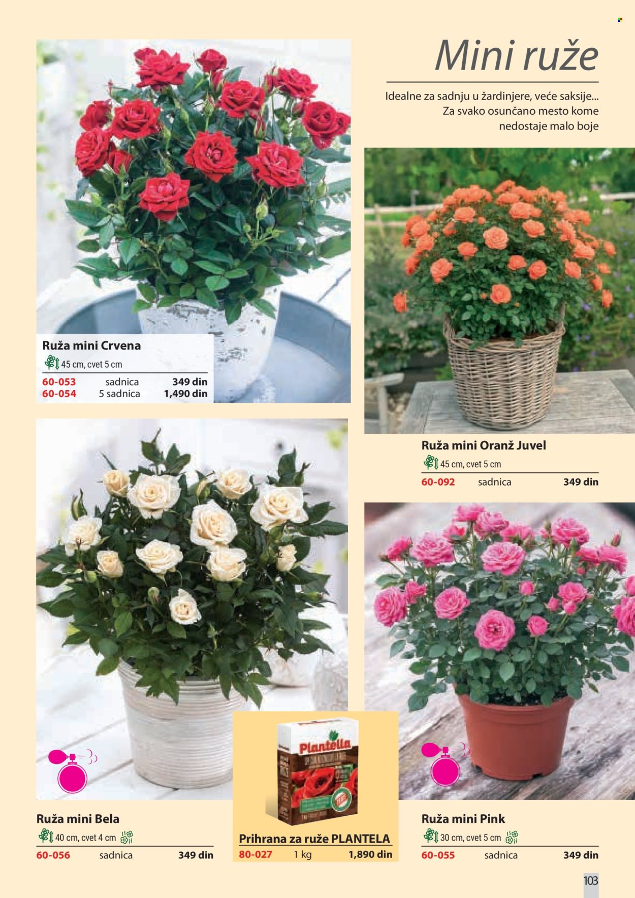Flora Ekspres katalog . Stranica 103