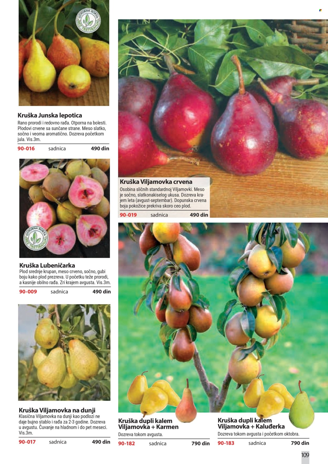 Flora Ekspres katalog . Stranica 109