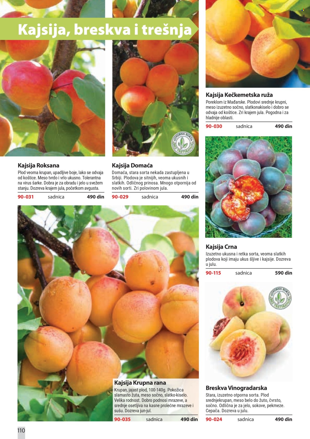 Flora Ekspres katalog . Stranica 110