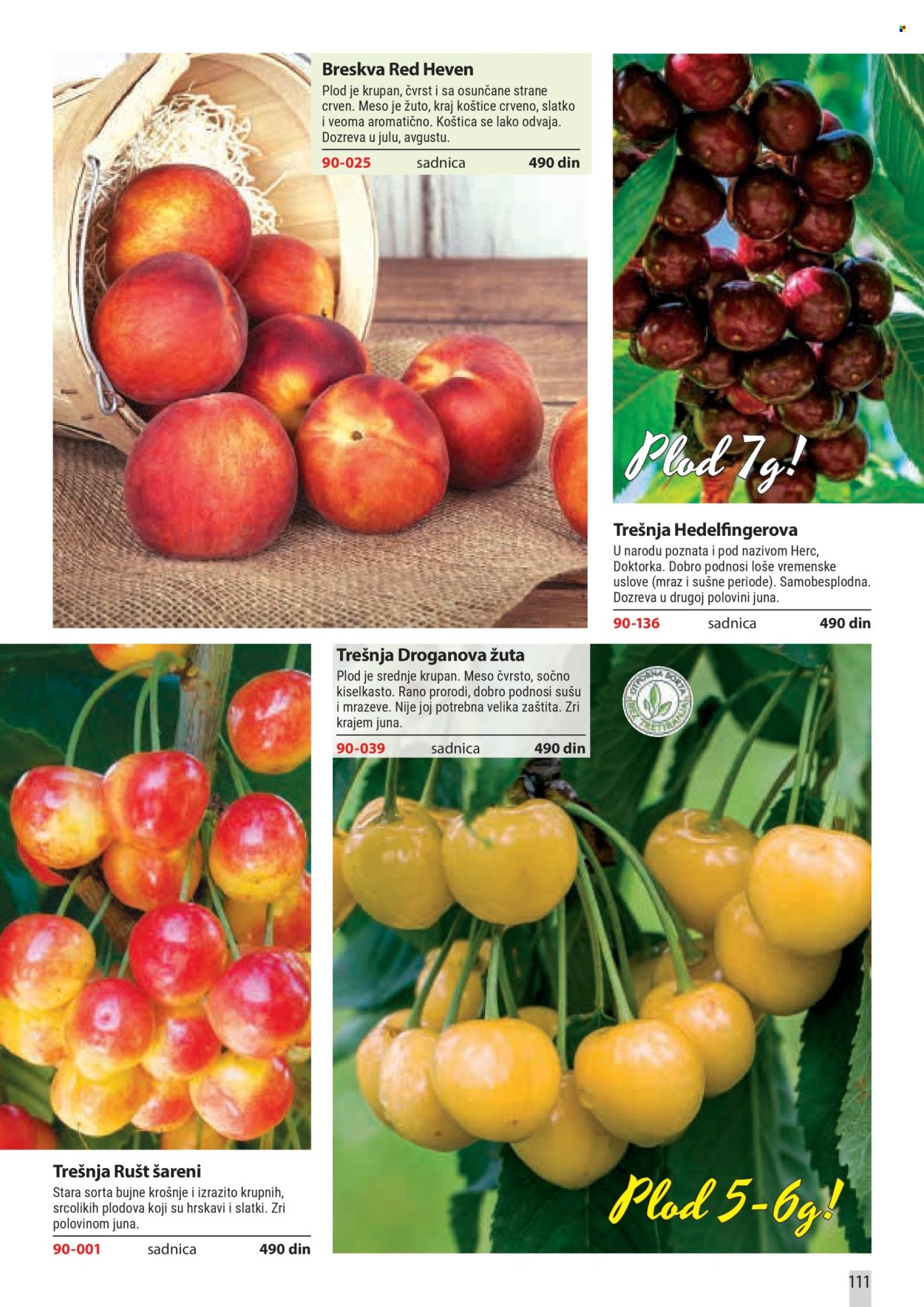 Flora Ekspres katalog . Stranica 111