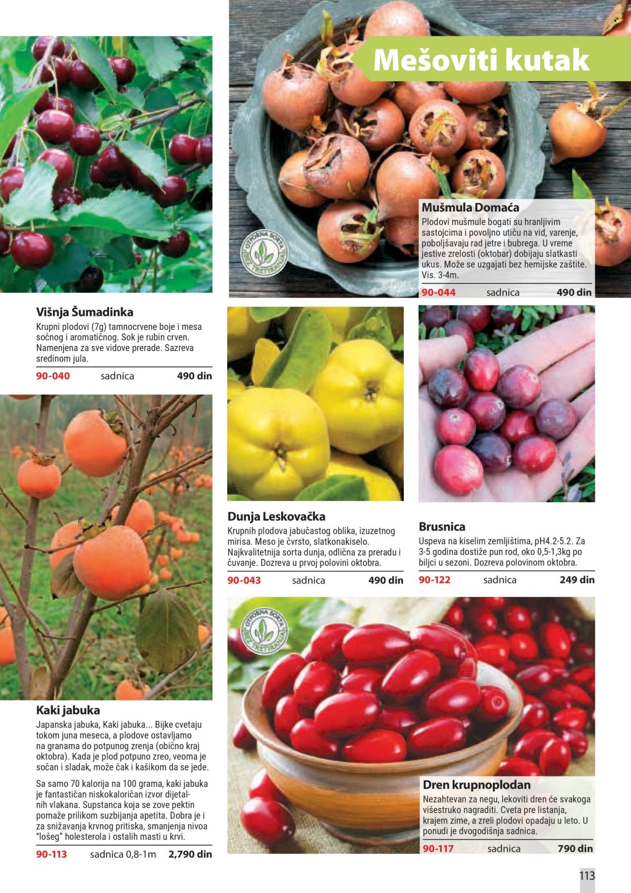Flora Ekspres katalog . Stranica 113