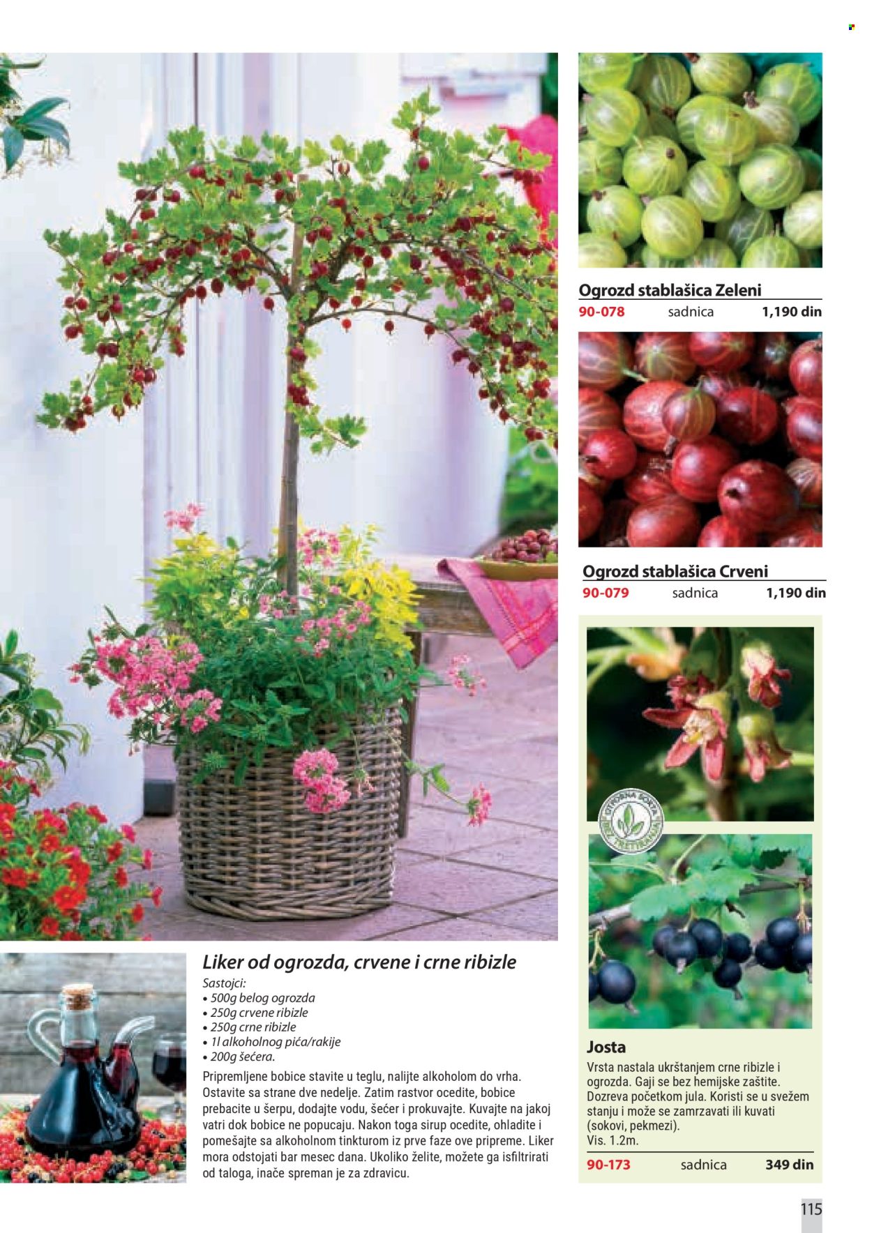 Flora Ekspres katalog . Stranica 115
