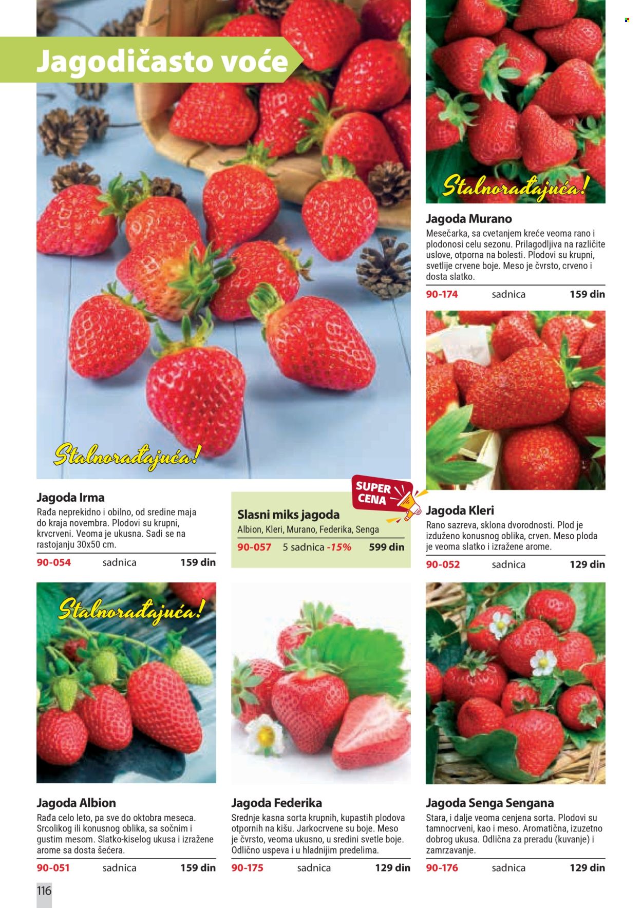Flora Ekspres katalog . Stranica 116