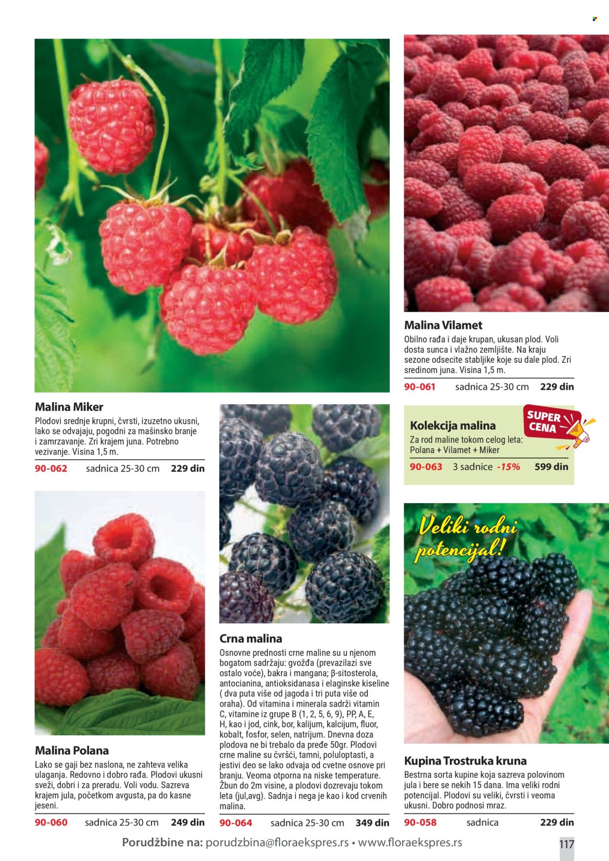 Flora Ekspres katalog . Stranica 117